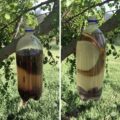 The Ultimate DIY Fly Trap